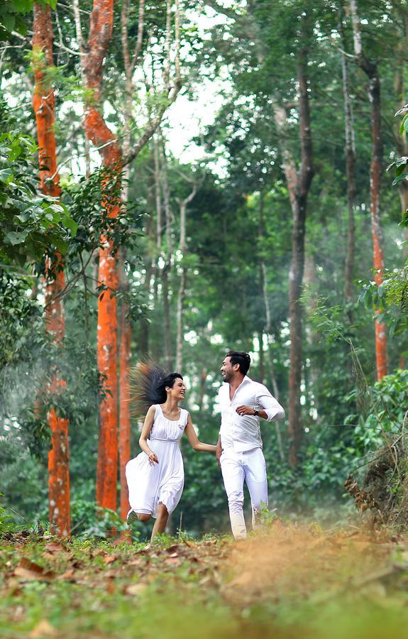 Peter'S Coffee Creek Nature Resort Meppādi Eksteriør bilde